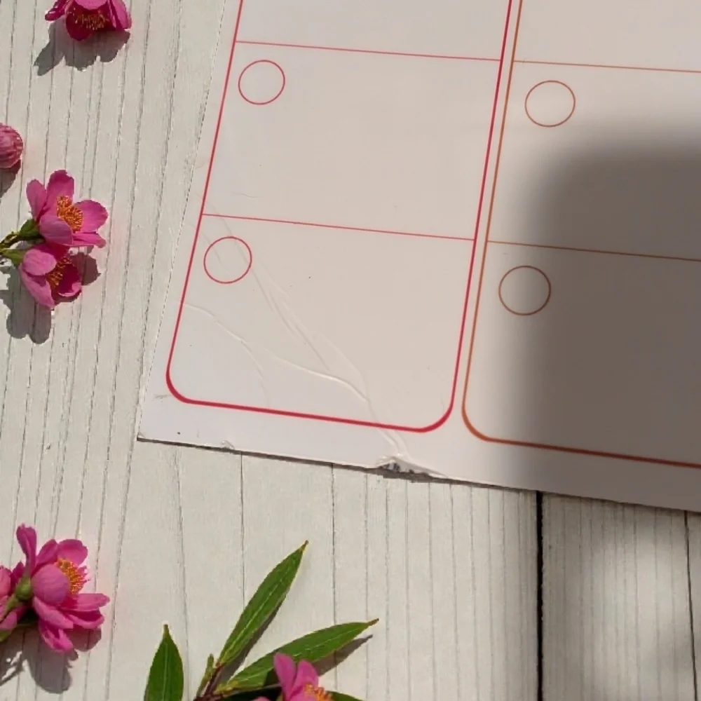 Colorful Monthly Dry Erase Magnetic Planner (EUC)